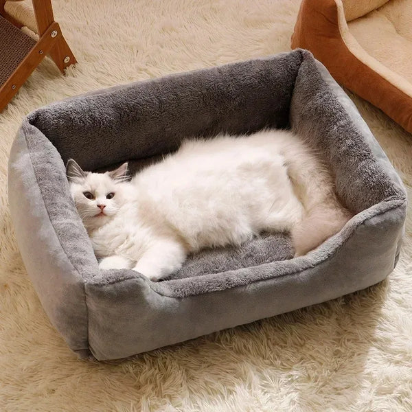 Pet Bed Accessories for Every Home