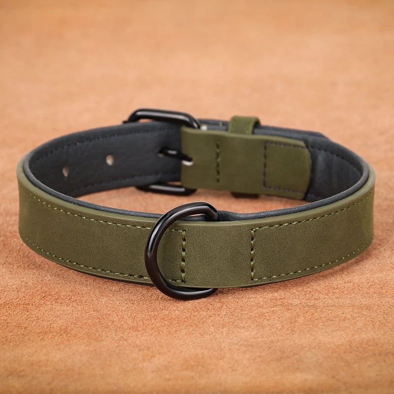 Large Soft Padded Leather Dog Collar for Big Dogs