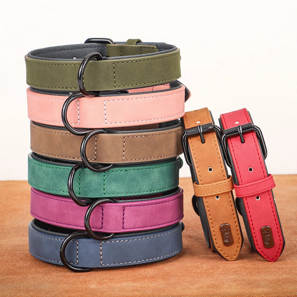 Large Soft Padded Leather Dog Collar for Big Dogs