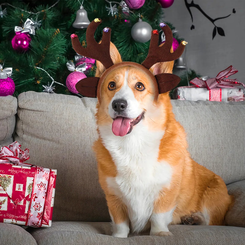 Christmas Antler Headband for Dogs