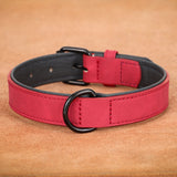 Large Soft Padded Leather Dog Collar for Big Dogs